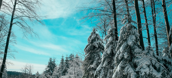 First Snow